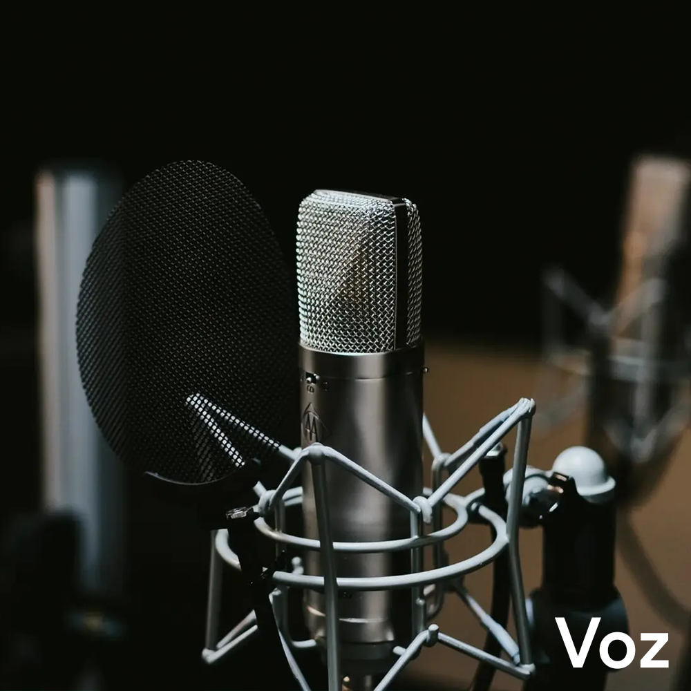 Grabación de voz básica